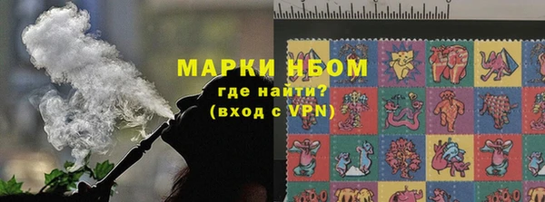 СК Касимов