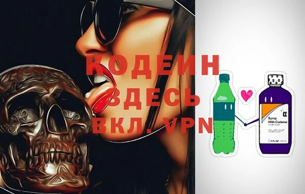 СК Касимов