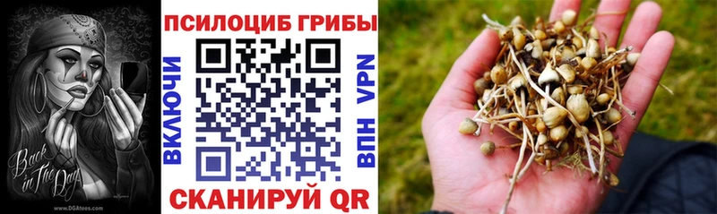 Купить  Власиха  Галлюциногенные грибы мицелий 